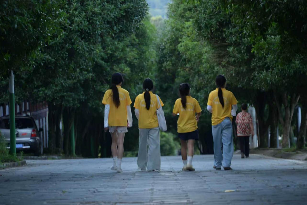 图7 图为山野归途｜漫步茶乡乡间道路